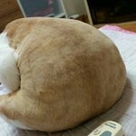 [드루와] 아 남자<b>쌤들</b> 왜 자꾸 머리 만지고ㅈㄹ