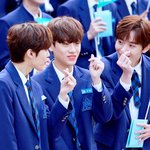 [프듀<b>X</b>] 프엑 어그로 넘 심하지 않아?