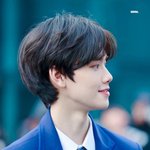 [프듀X] 내 픽들 구경할 사람
