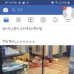 <b>성남</b> 사는 애들아 이거 진짜야?