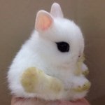 짜잔 ~ <b>아기</b>때사진