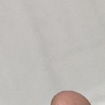 [조언부탁해] 우리집 개가 <b>내손</b> 물엇어 언제쯤 돌아올까?