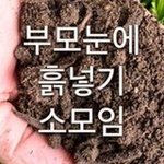 얘들아 고1 <b>특정</b>과목들 5.8등급각인데ㅋㅋㅋ