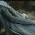 [모두드루와] 제작비 360억 아스달 연대기 <b>CG</b>그래픽