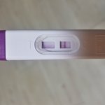 [19] 임신아닌거지?