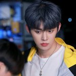 [TXT사진] <b>페이스</b>북 캣앤독 뮤비스케치(단체)