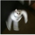 너내들 <b>주변</b> 커플중에 결혼할꺼같은 <b>사람</b>