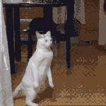 [NCT] 가능성을 모아모아