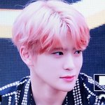 엔시티 <b>재현</b> 보라머리함