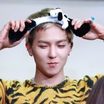 [위너] 오늘 <b>취켓</b>팅 ㅎㅇㅌ