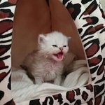 <b>울보</b>민지야