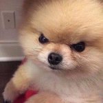 연차 쓴다까 영원히 쓰는게 어떠냐는 <b>팀장</b>님
