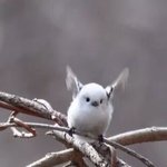 [댓글부탁해] 얘들아 얘가 나 좋아한다는뎅 ㅋㅋㅋㅋ