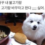 미치겠다 얘들아 나 이거 <b>어장</b>중인거냐