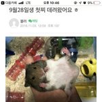 [프듀X] <b>이협</b> 과거글 ㅈㄴ 귀엽다