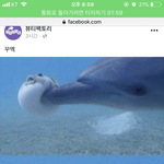 [댓글부탁해] 남친이랑 곧 백일<b>이양</b> 뭐할지 추천해줘