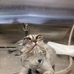 <b>주인님</b>의 또 다른 충격적인 모습