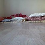 나의 동거묘 도칠이 2019년 여름맞이 일상들..