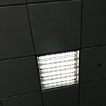 [이삐] <b>룰루</b>