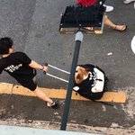 [모두드루와] 강아지 캐리어에 태우고 <b>산책</b>중 넘어지는 사고 발생