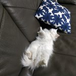 자세 조카웃겨ㅜㅋㅋㅋㅋㅋㅋㅋ