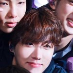 [방탄소년단] 호비 누가 다람쥐랬어...