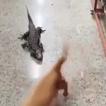 [댓글부탁해] 너무 빨리 도망가서 안보인다 <b>이자식</b>아