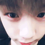 [강다니엘] <b>야생</b>콩눈 (·•︠ᴗ•︡ )