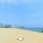 오늘 해운대,서울랜드,<b>에버랜드</b> 한번에 다녀왔음.