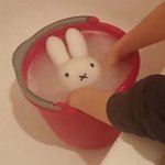 <b>영포</b>자 영어공부 시작했어