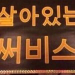 얘들아 피어싱 어디할지 추반<b>해쥬</b>