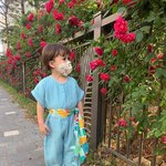[댓글부탁해] 영화 뭐볼지 추천좀