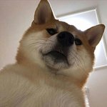 야 <b>민자</b>야