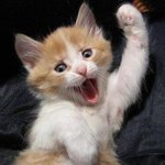 (혐)<b>님</b>들아 자전거탈<b>때</b> 조심하셈ㅋㅋㅋㅋㅋㅋㅅㅂ