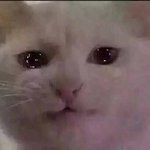 [프듀X] 손<b>동표</b> 송형준 한명만 고르면