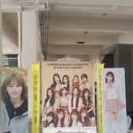[모두드루와] 장원영 턱 악플러 ㅈ된이유