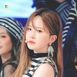 프로미스<b>나인</b> 멤버의 의외의 전공