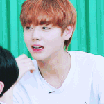 박지훈 데뷔부터 지금까지 <b>서사</b> 눈물나지 않냐