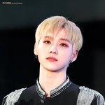 이 아이돌들이 서로 만나면?