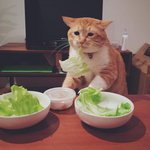 [드루와] 이거 내가 <b>위로</b>해줘야하는거냐?