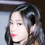 고양이 키우는 사람...