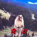 [방탄소년단] <b>HEY</b>!! <b>HEY</b>!!!!!!!