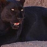 (혐 <b>미방</b>) 나 콧대에 모공각화증처럼 이상한 거 남 ㅠㅠ