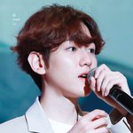 [EXO] <b>연옌</b>을 정으로 좋아하는 애들