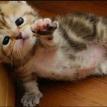 <b>니</b>가 <b>날</b> 너무 좋아하더라