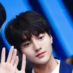 [프듀X] 어제 보고 픽에 넣은애들