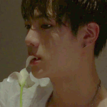 [방탄소년단] 김석진 <b>선배미</b>... 오빠<b>미</b>...