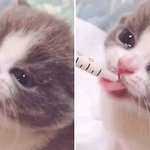 <b>울보</b>아기야