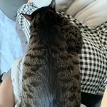 [댓글부탁해] 읽씹했다가 몇분뒤에 답장하는거 뭐냐