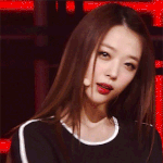 <b>여자</b>도 고양이좋아한다 <b>vs</b> <b>여자</b>는싫어한다